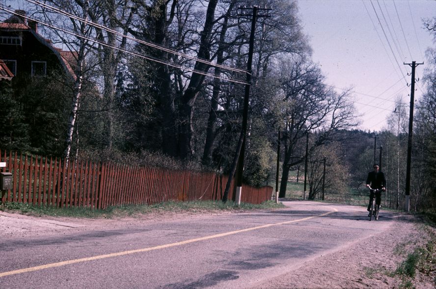 blå 219